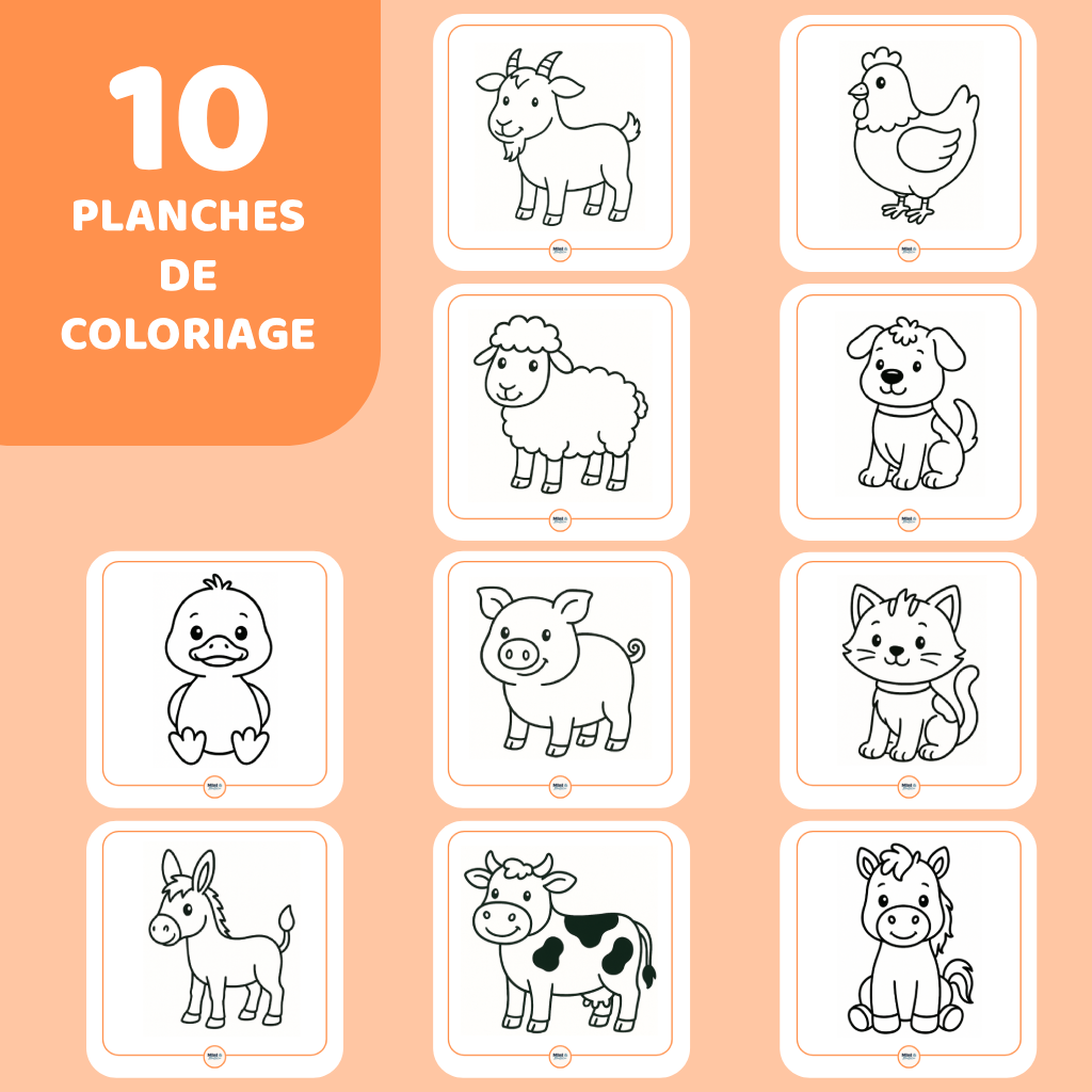 Mes premiers coloriages - Ferme