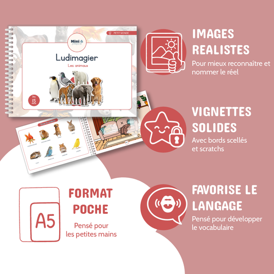 Ludimagier – Animaux