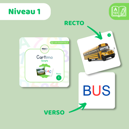 Cartimo - Niveau 1 - Scripte - 20 cartes