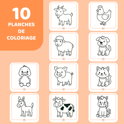 Mes premiers coloriages - Ferme