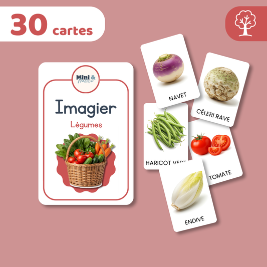 Imagier LÉGUMES - 30 cartes