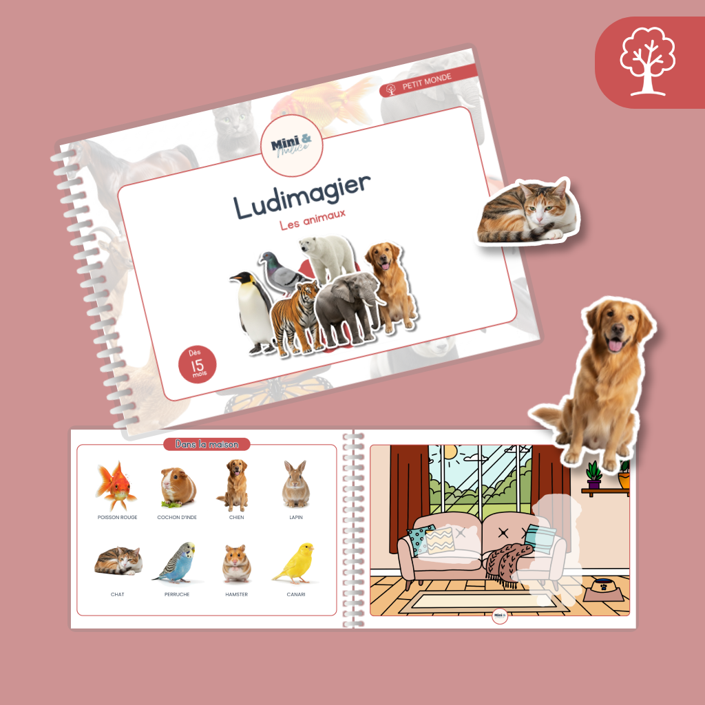 Ludimagier – Animaux