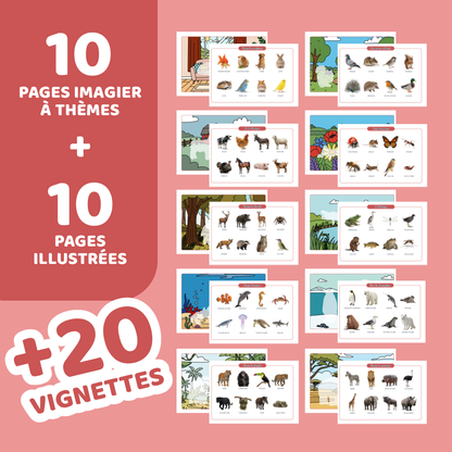 Ludimagier – Animaux